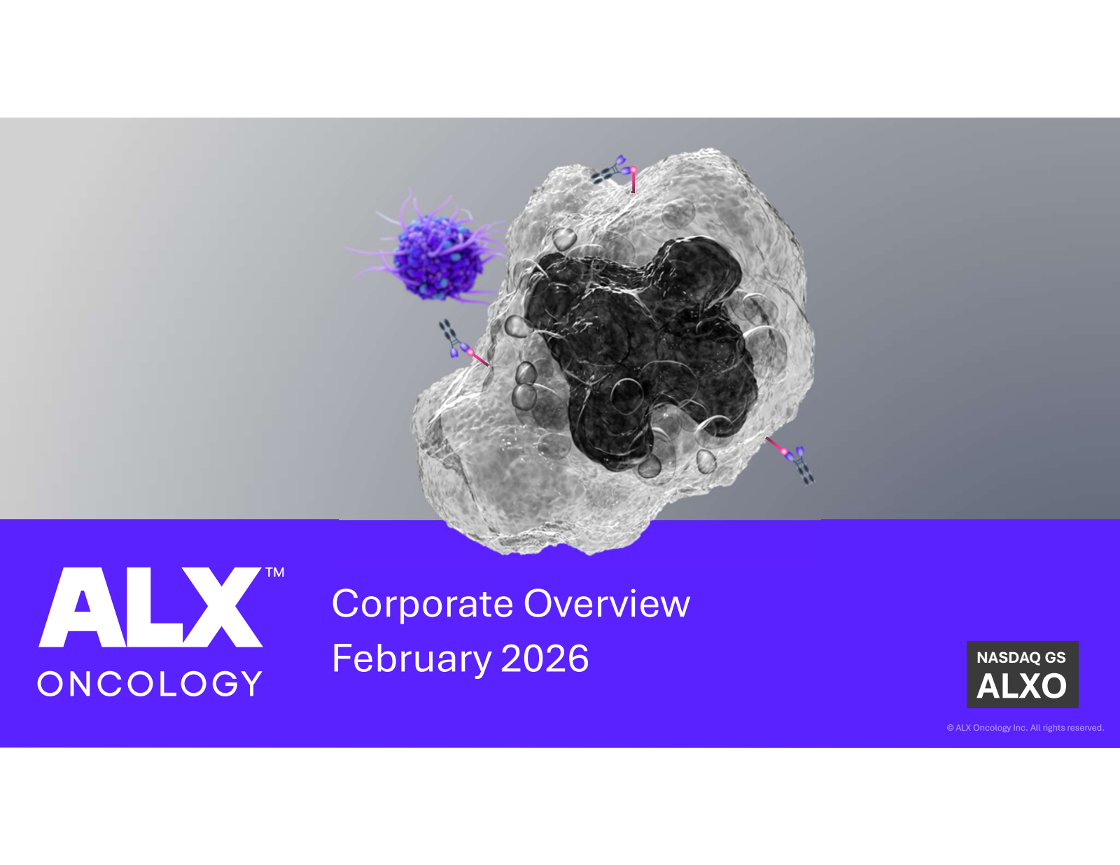 ALX Oncology's Q4 2025 Slide Deck