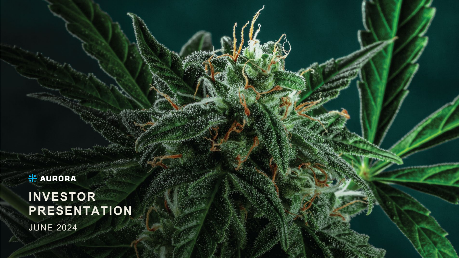Aurora Cannabis' Q4 2024 Slide Deck