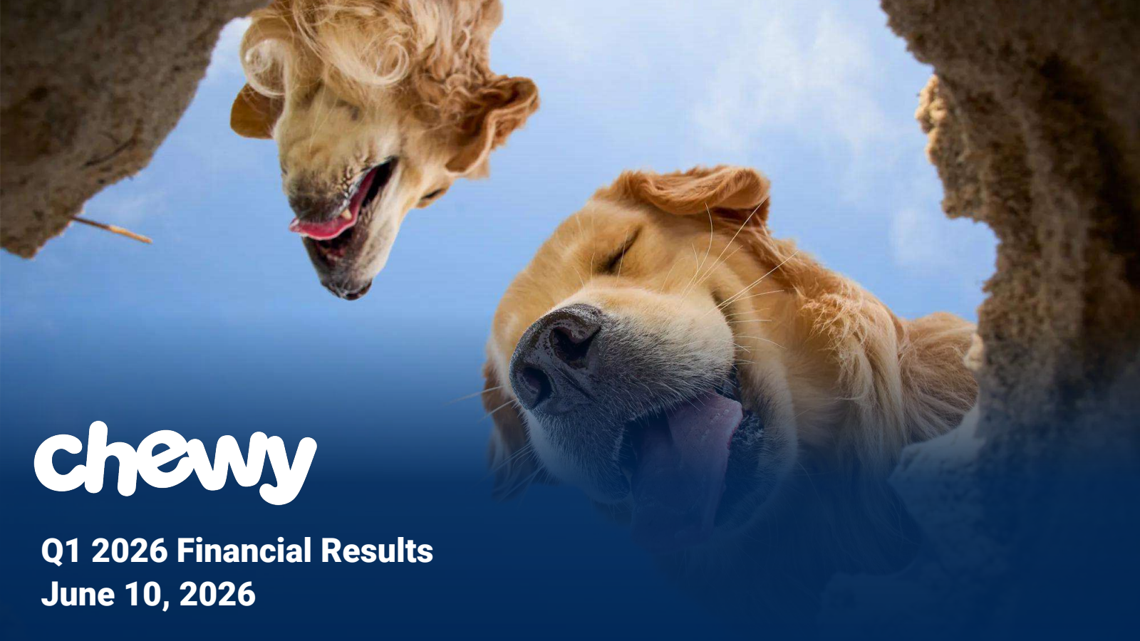 Chewy's Q1 2027 Slide Deck