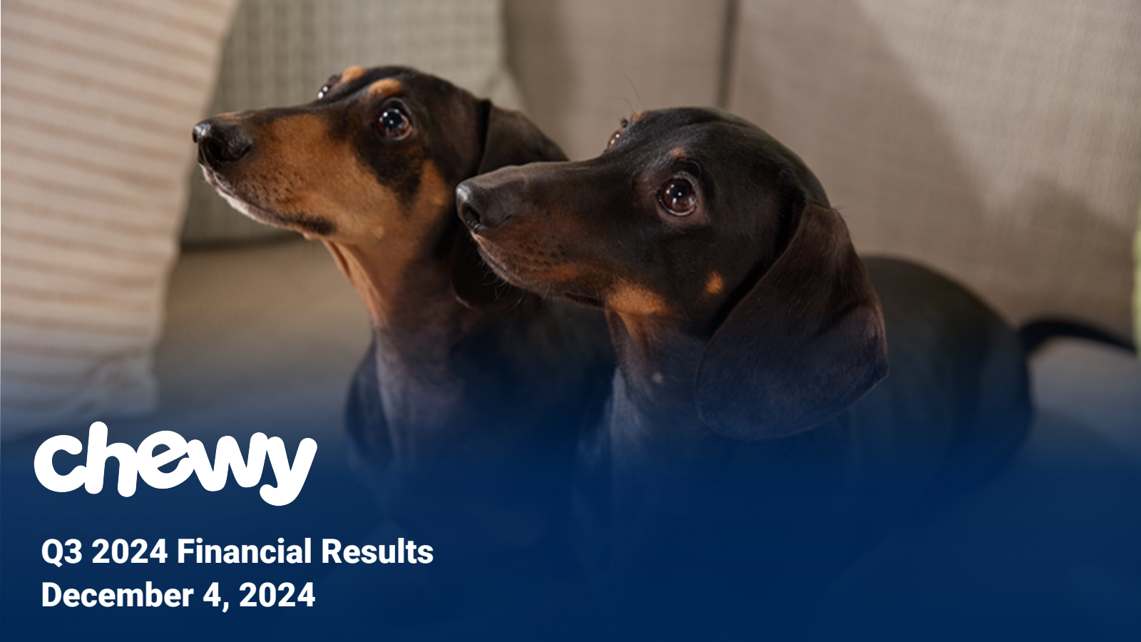 Chewy's Q3 2024 Slide Deck