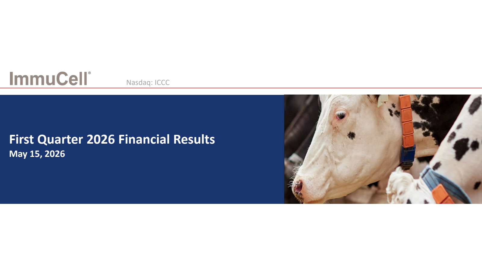 ImmuCell's Q1 2026 Slide Deck