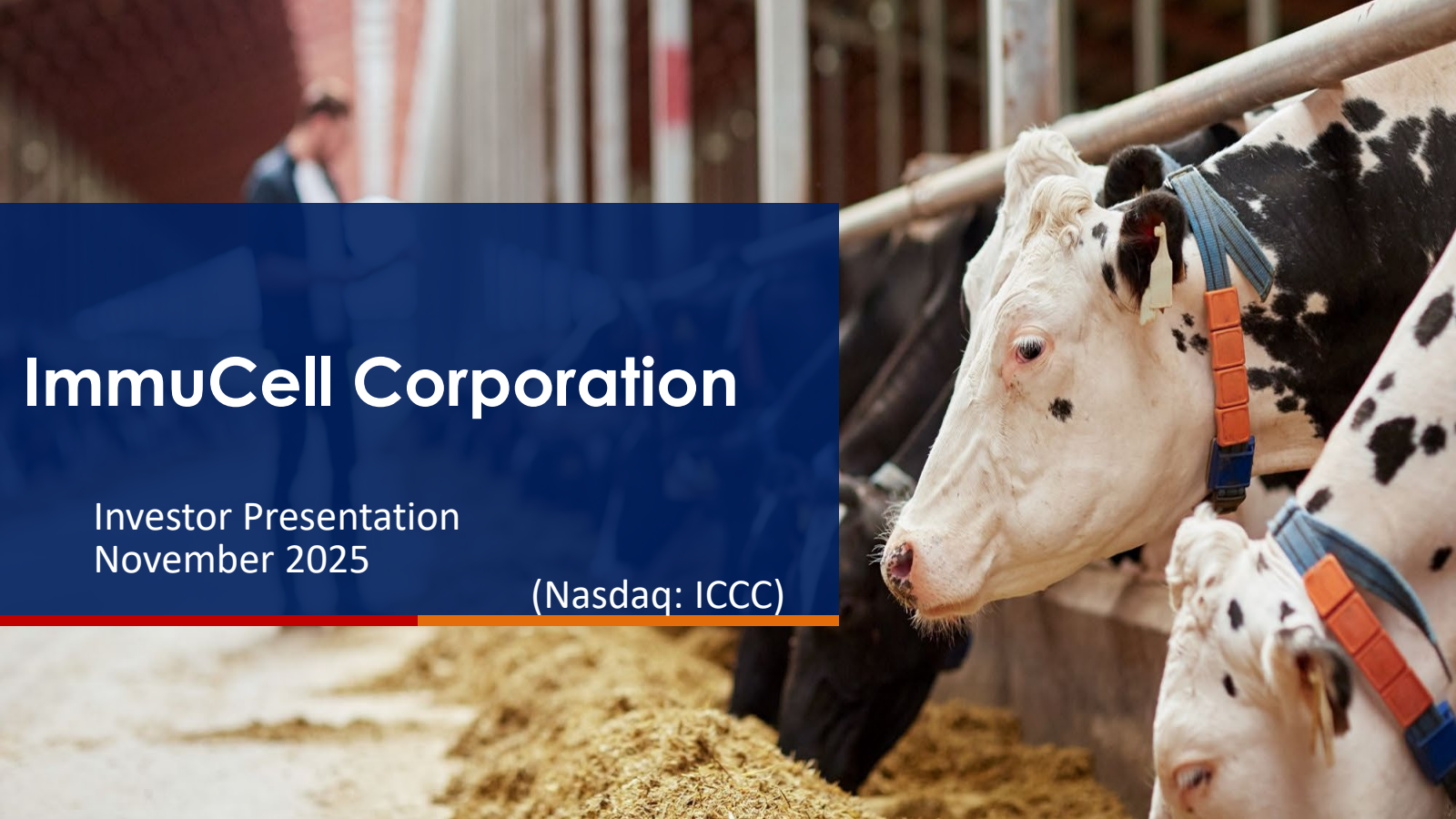 ImmuCell's Q3 2025 Slide Deck