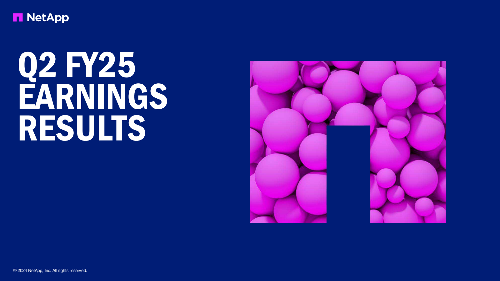NetApp's Q2 2025 Slide Deck