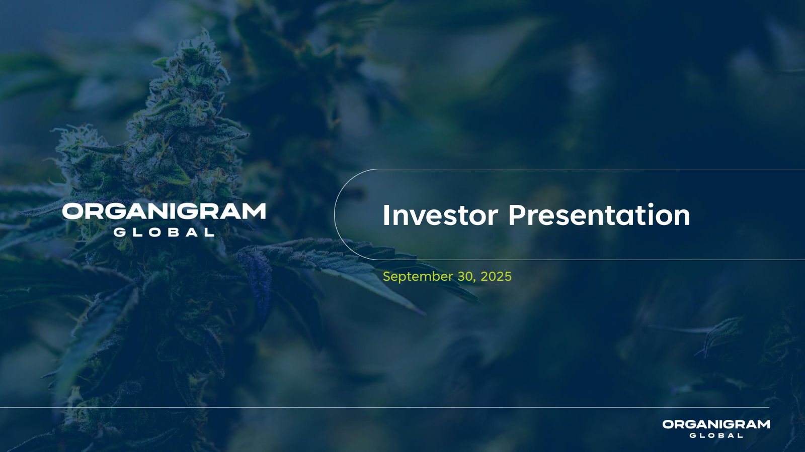 Organigram Global's Q4 2025 Slide Deck