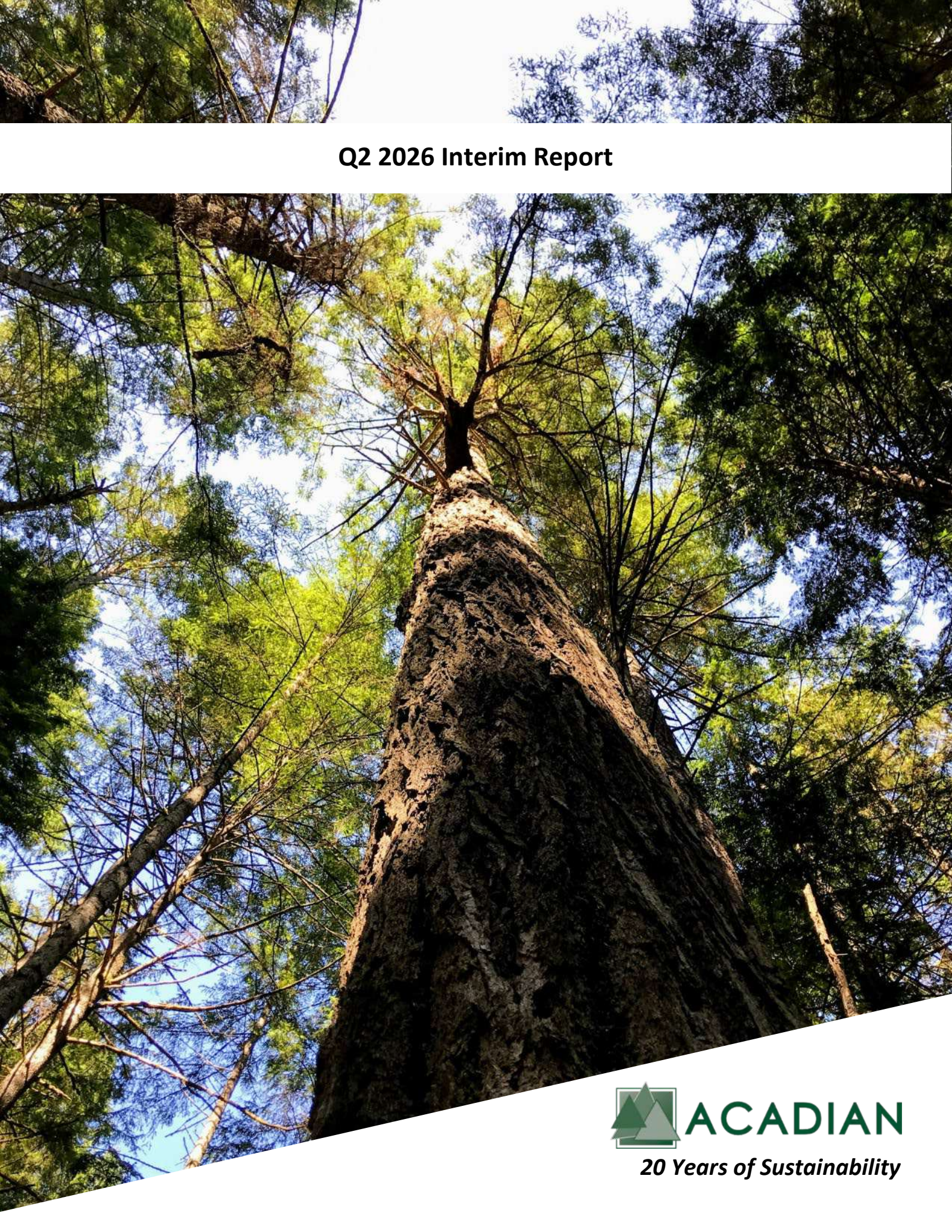 Acadian Timber's Q2 2026 Interim report