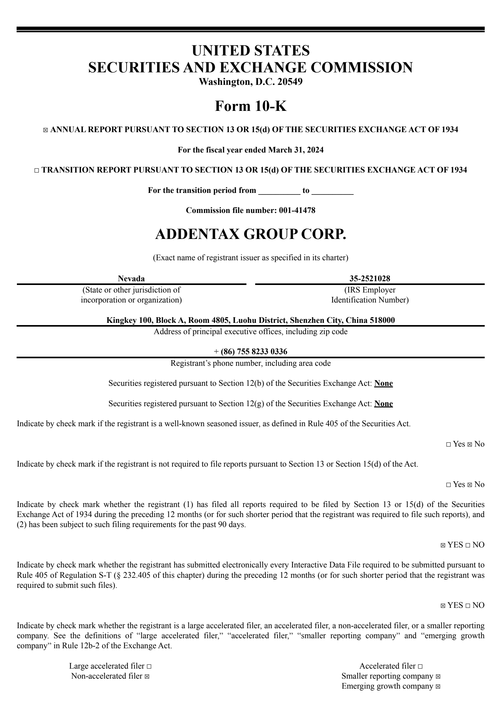 Addentax Group's Q4 2024 Annual report