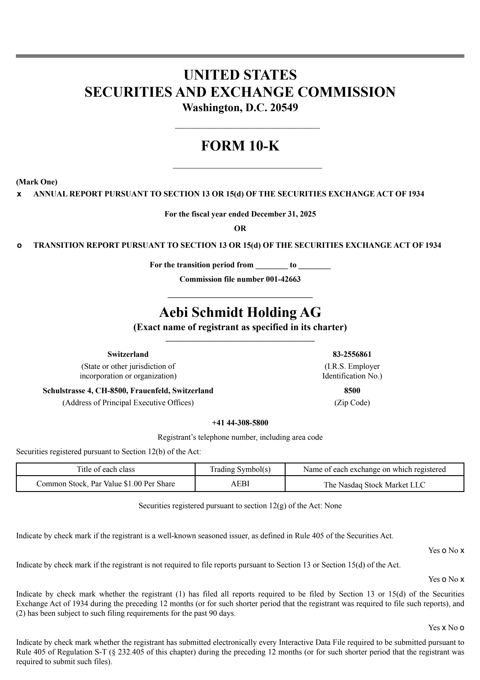 Aebi Schmidt's Q4 2025 Annual report