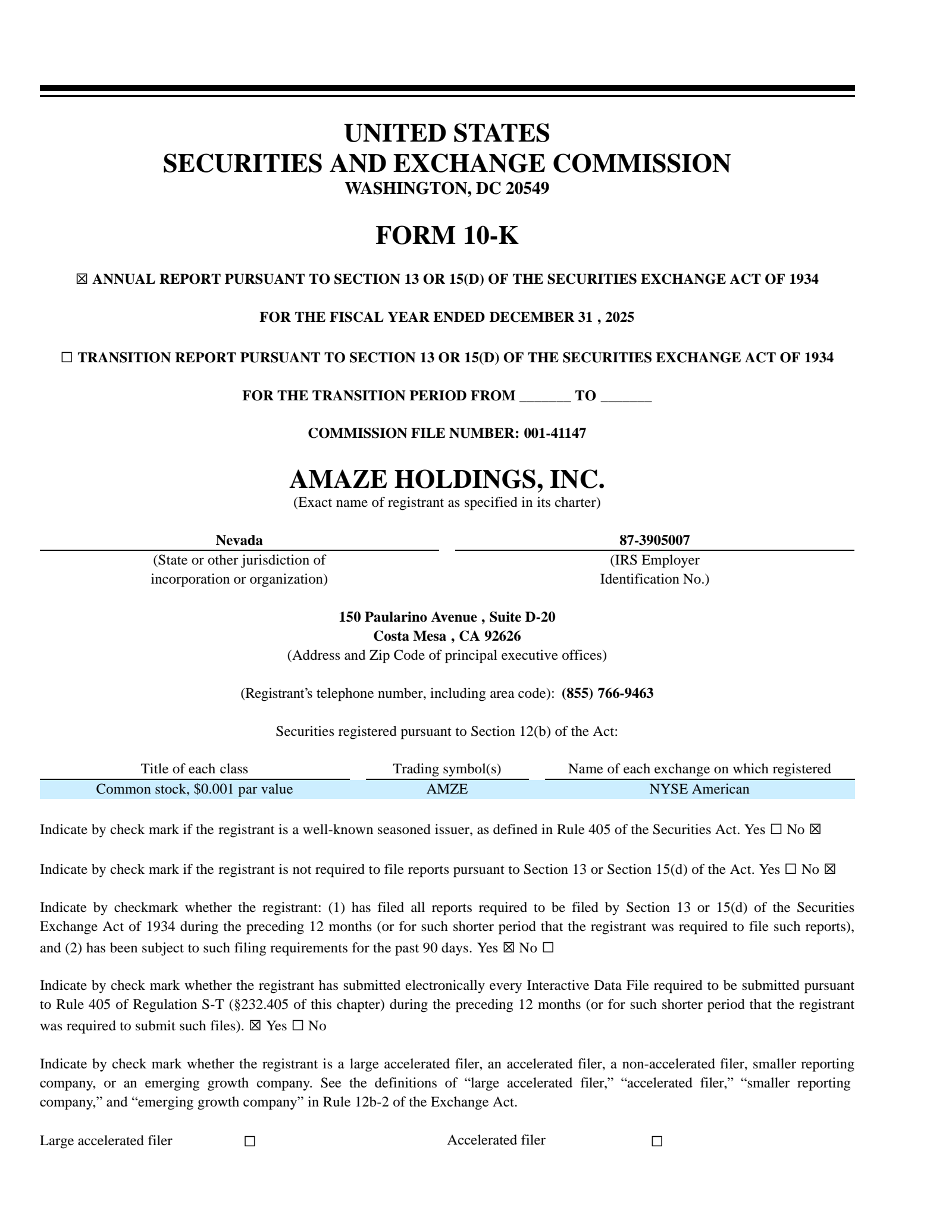 Amaze's Q4 2025 Annual report