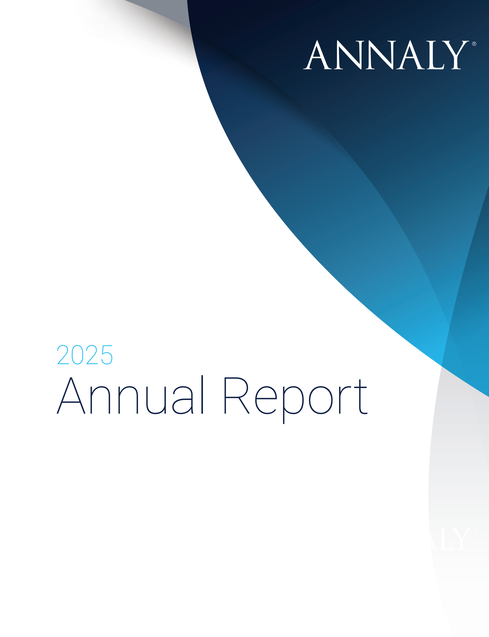 Annaly Capital Management's Q4 2025 Annual report