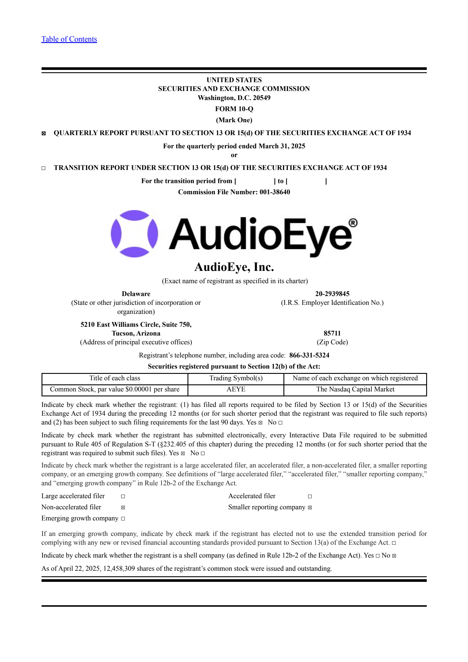 Audioeye's Q1 2025 Quarterly report