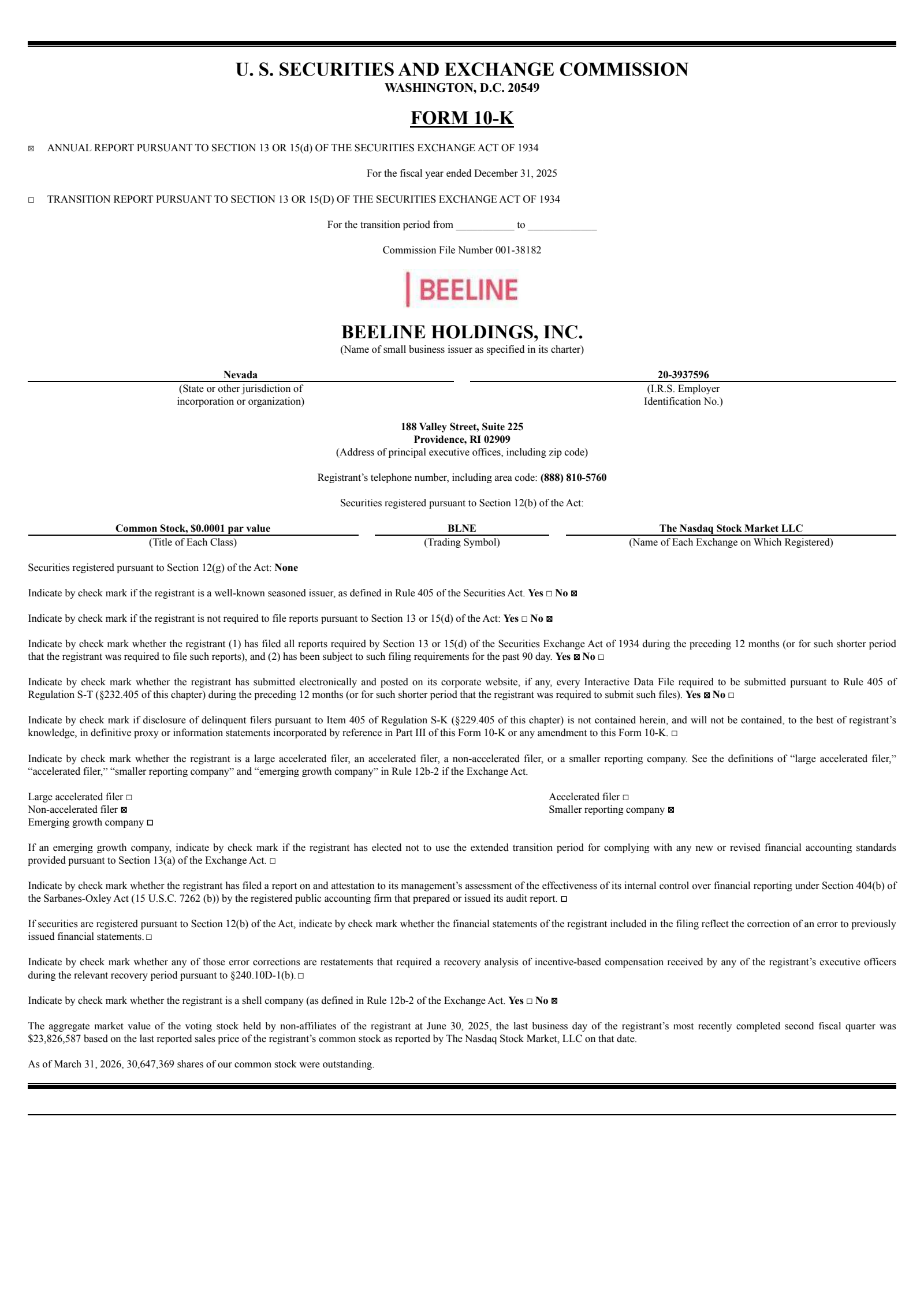 Beeline's Q4 2025 Annual report