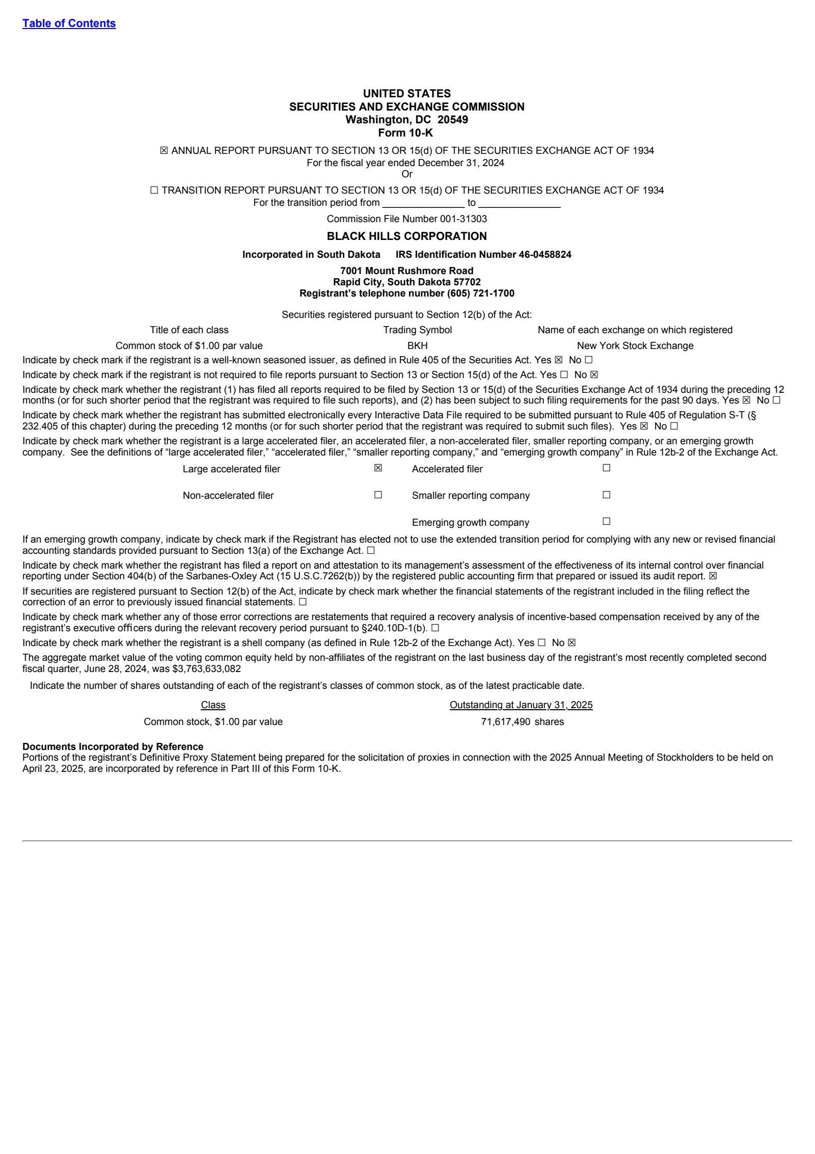 Black Hills' Q4 2024 Annual report