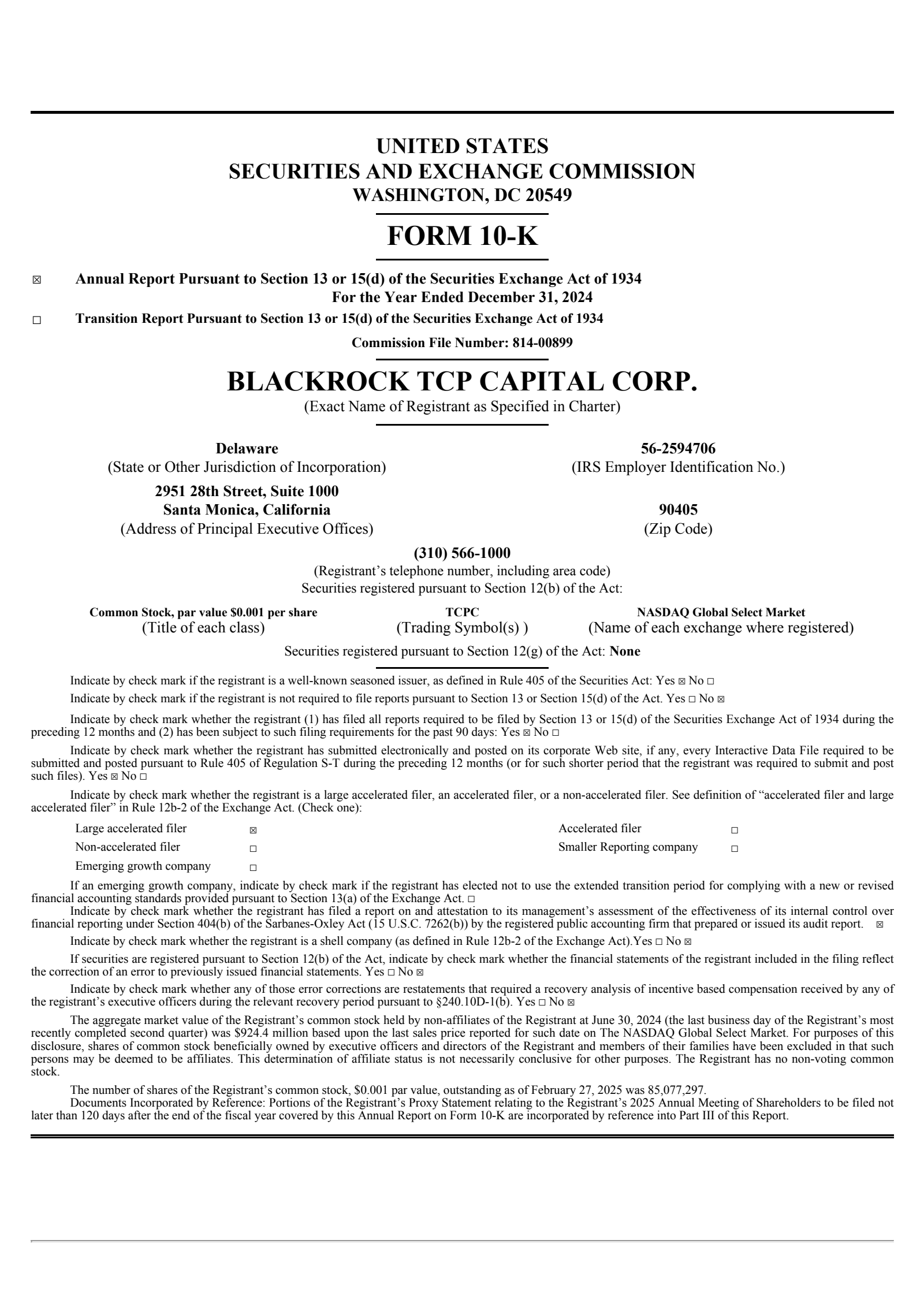 Blackrock Tcp Capital's Q4 2024 Annual report