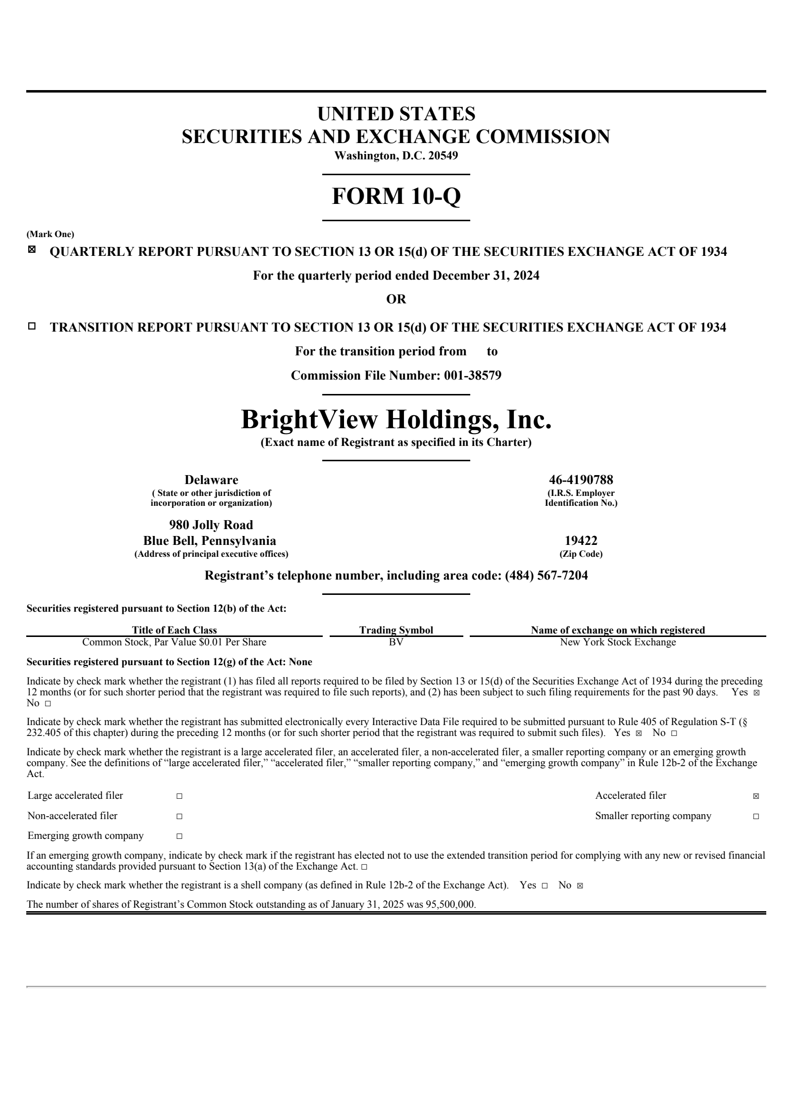 BrightView's Q1 2025 Quarterly report