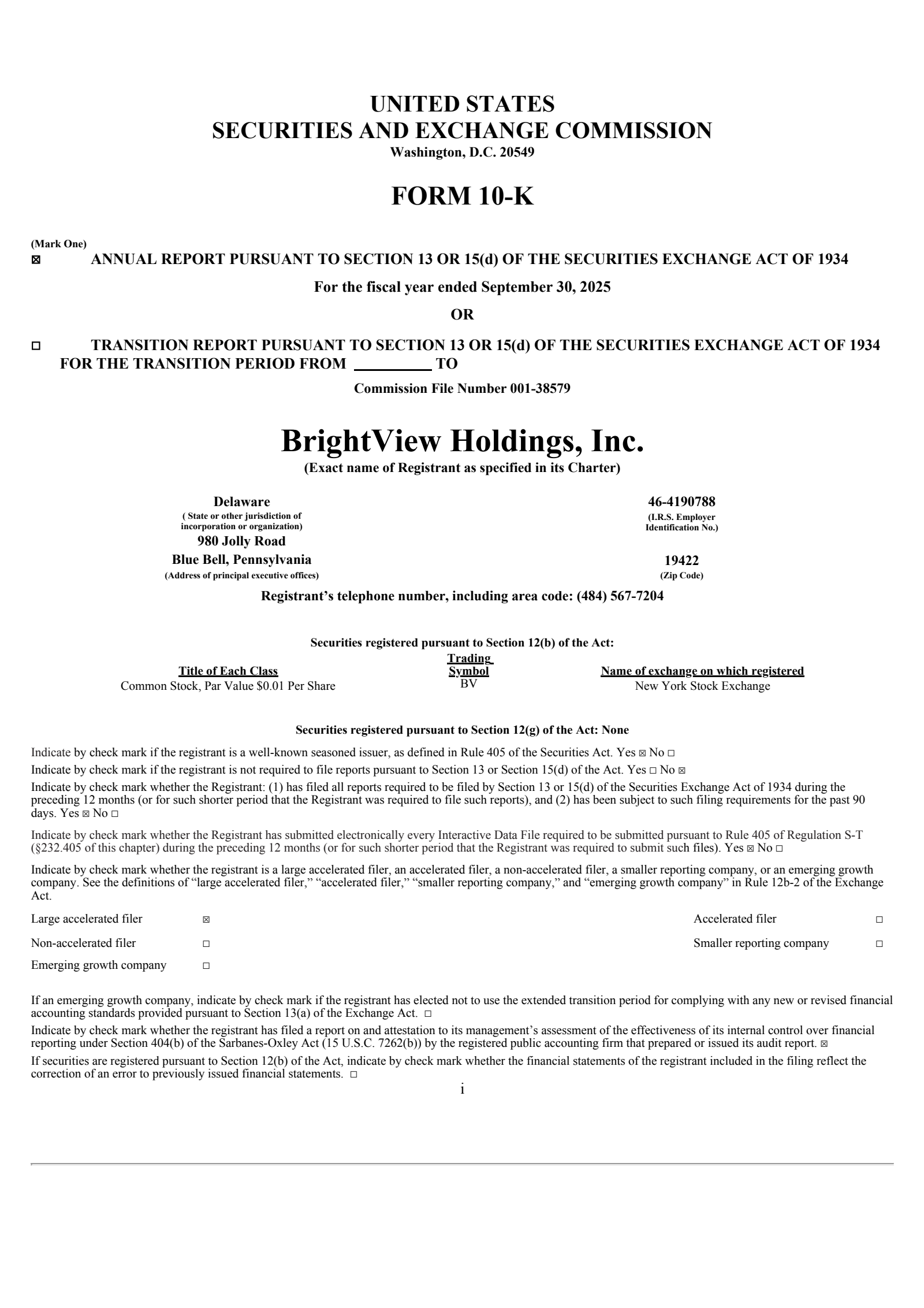 BrightView's Q4 2025 Annual Report