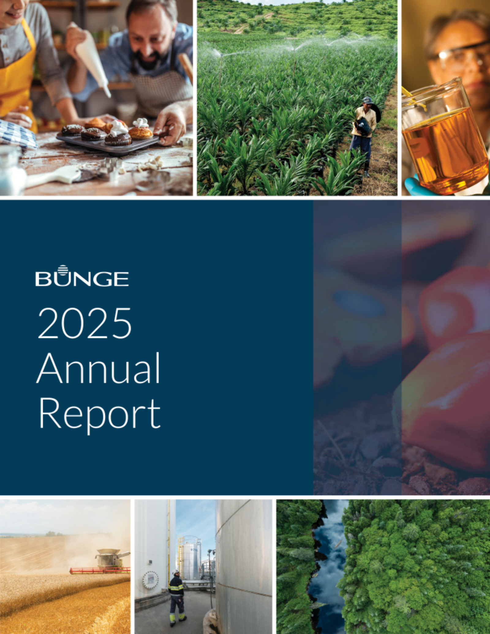 Bunge Global's Q4 2025 Annual report