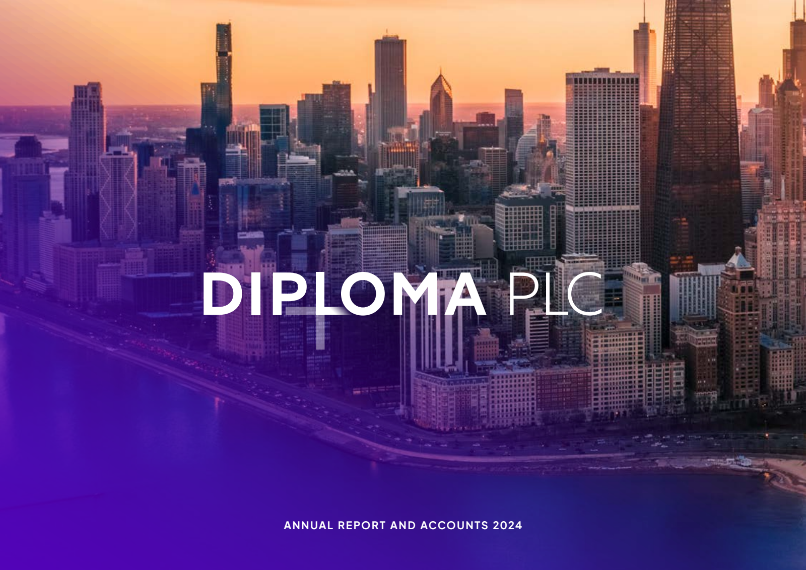Diploma's H2 2024 Annual Report