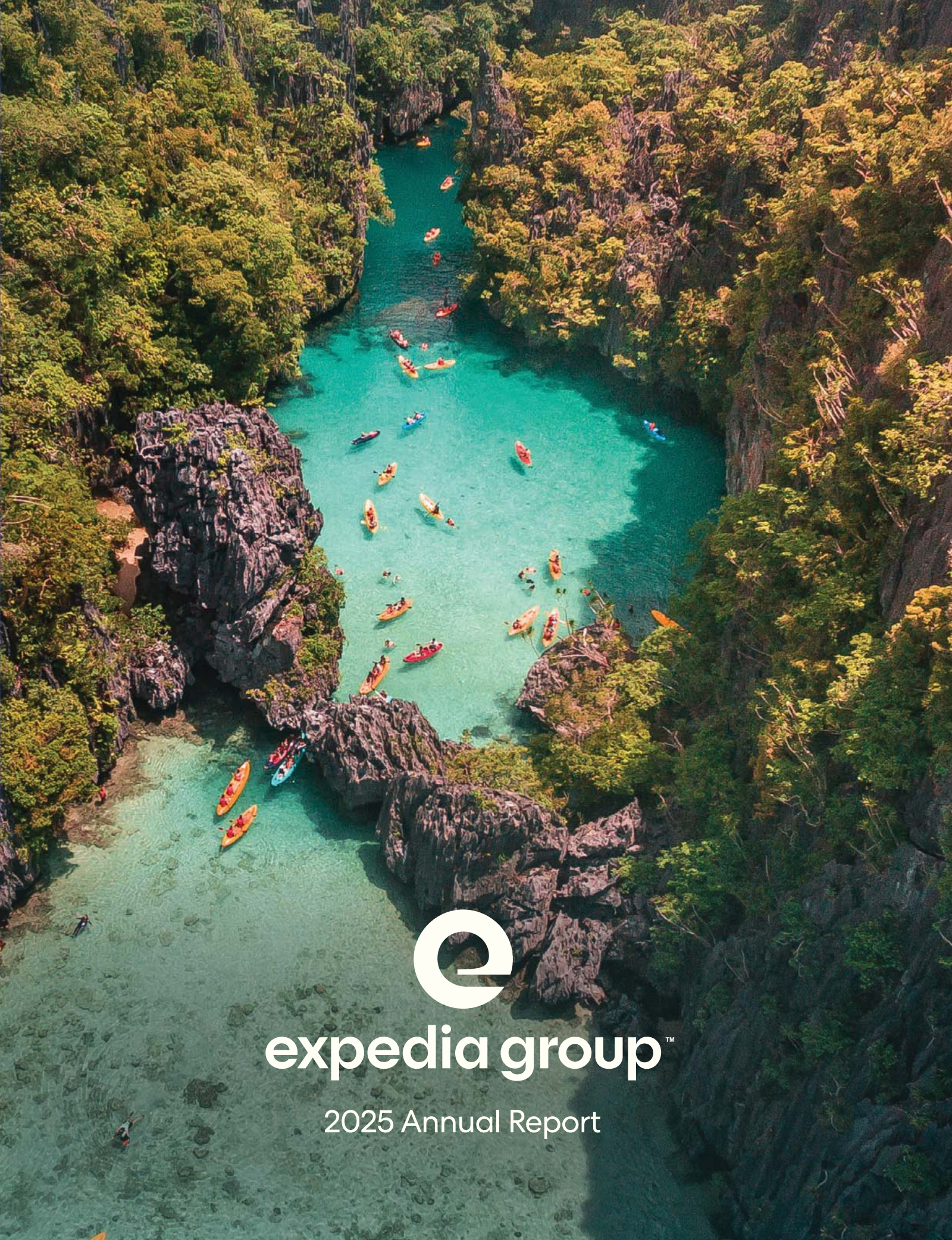 Expedia Group's Q4 2025 Annual report