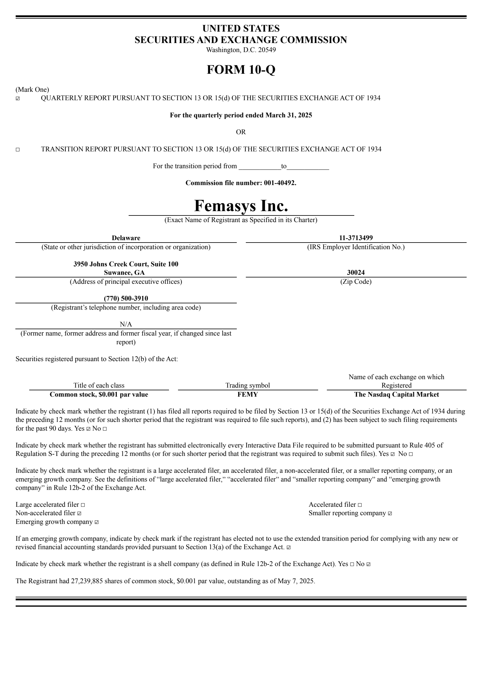 Femasys' Q1 2025 Quarterly report