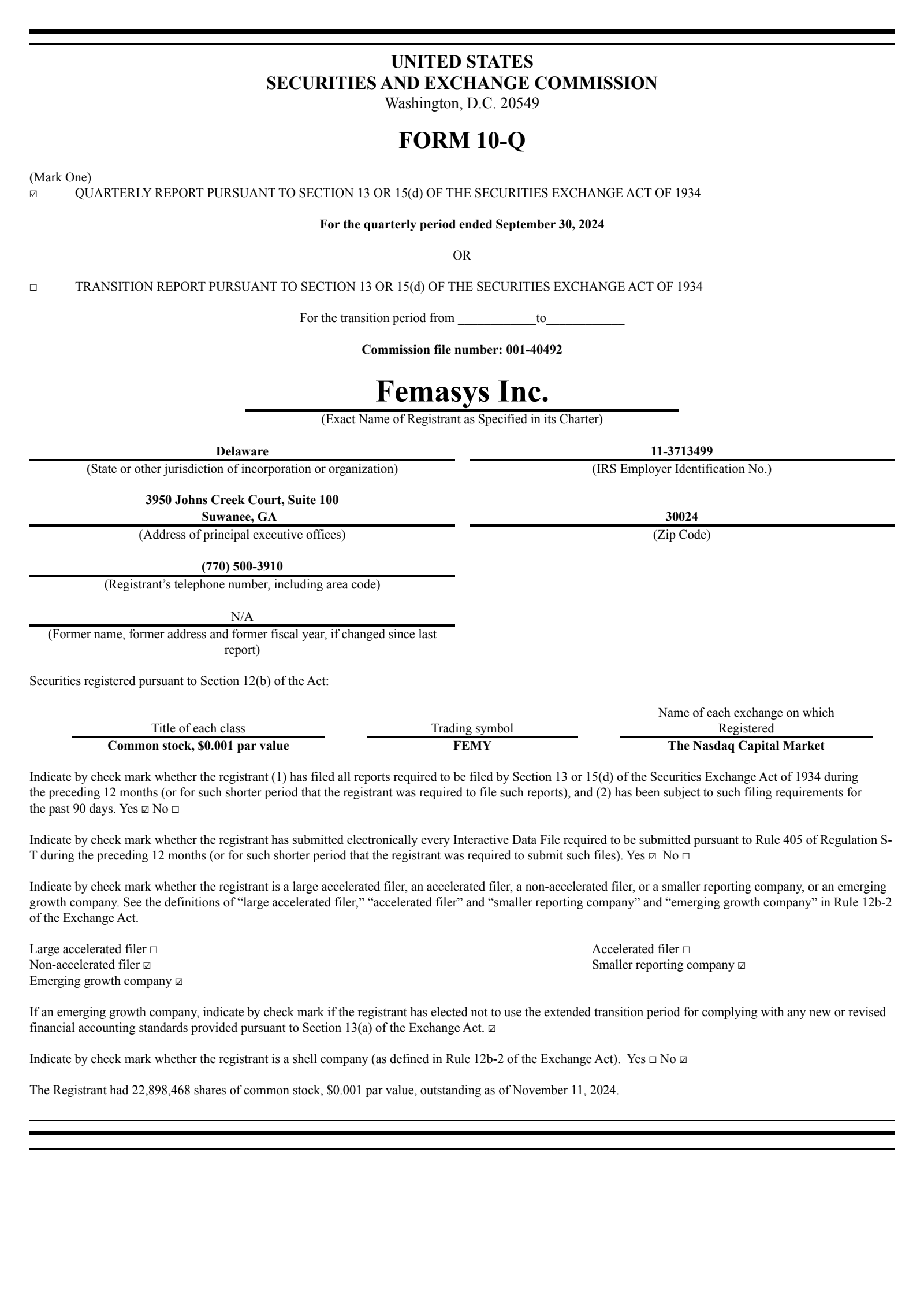 Femasys' Q3 2024 Quarterly report