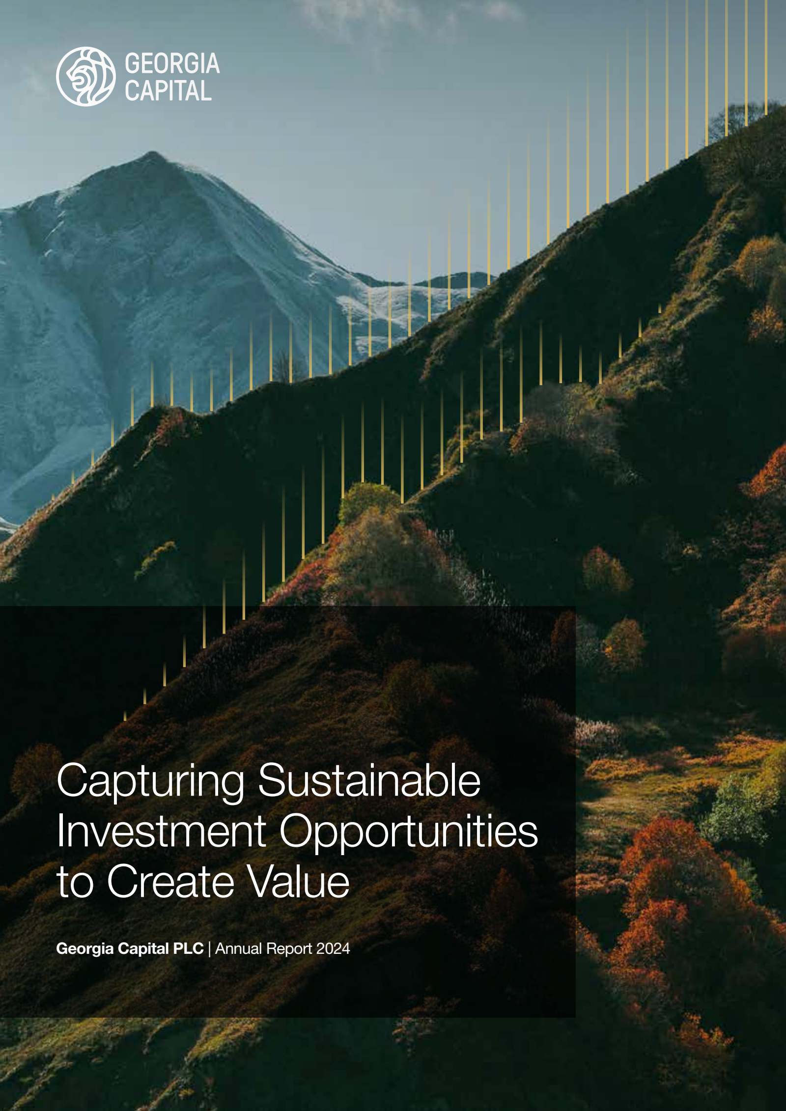 Georgia Capital's Q4 2024 Annual report
