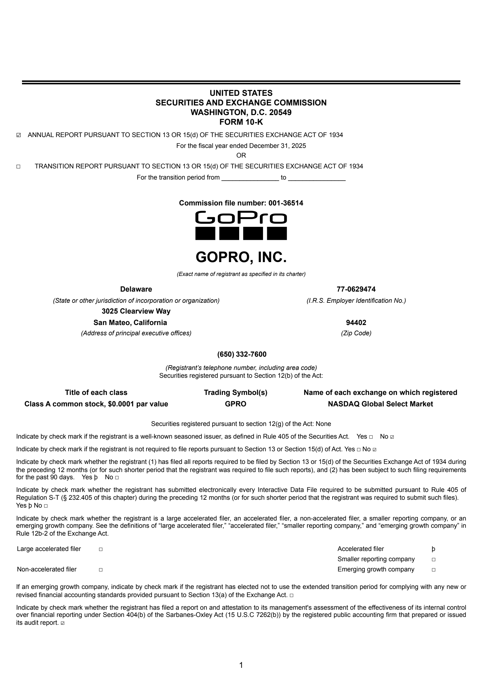 GoPro's Q4 2025 Annual report