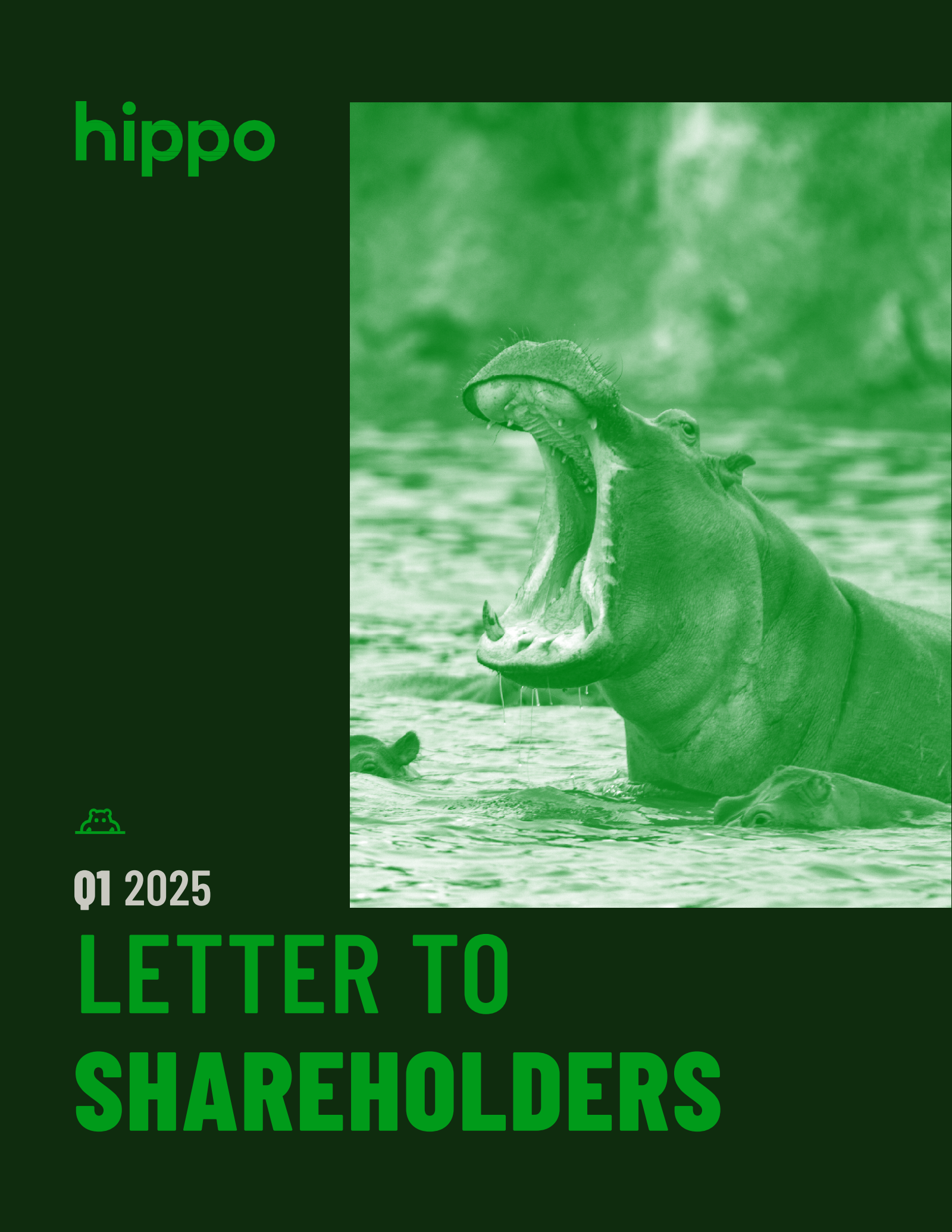 Hippo's Q1 2025 Press Release