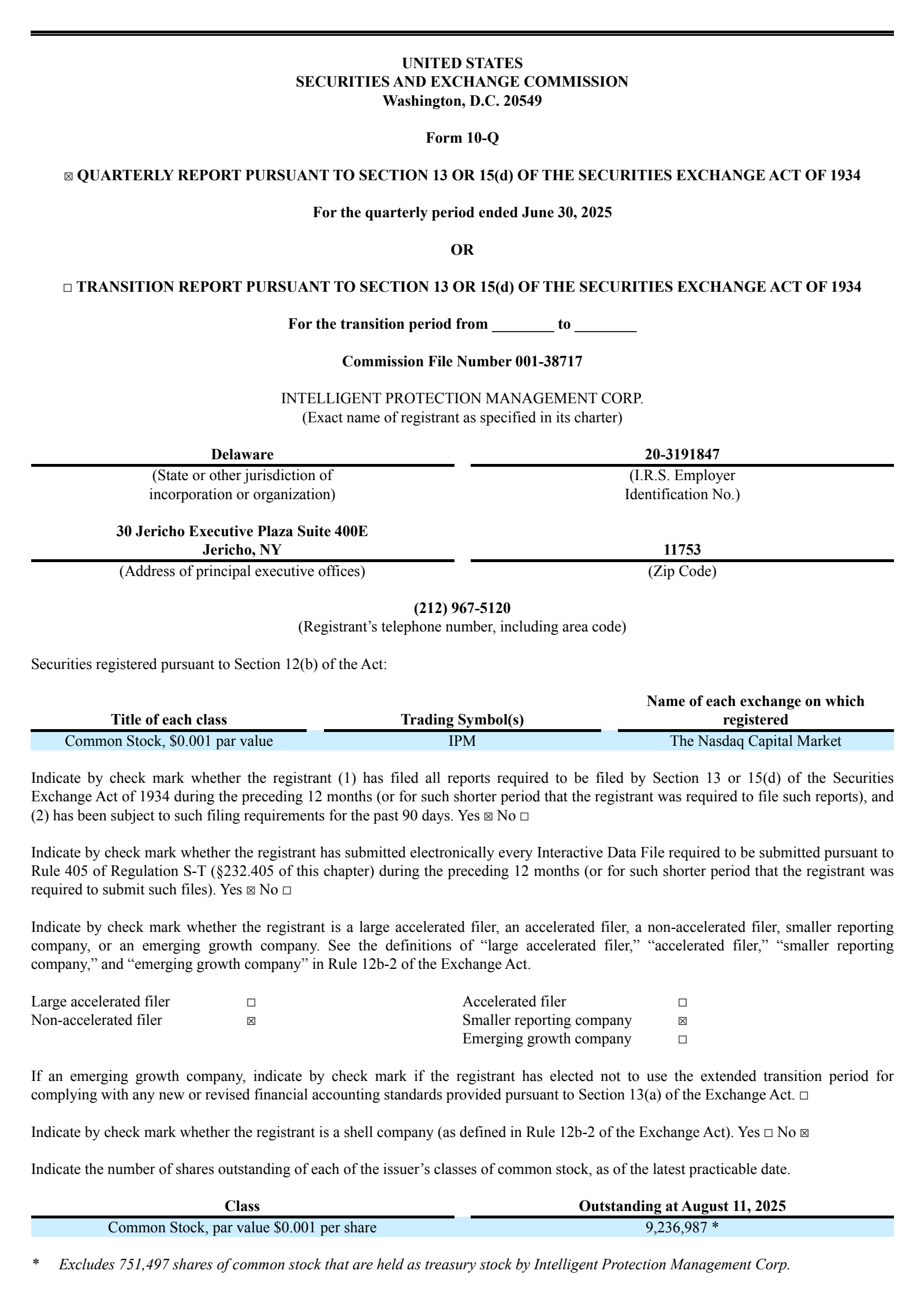 Intelligent Protection Management's Q2 2025 Quarterly report