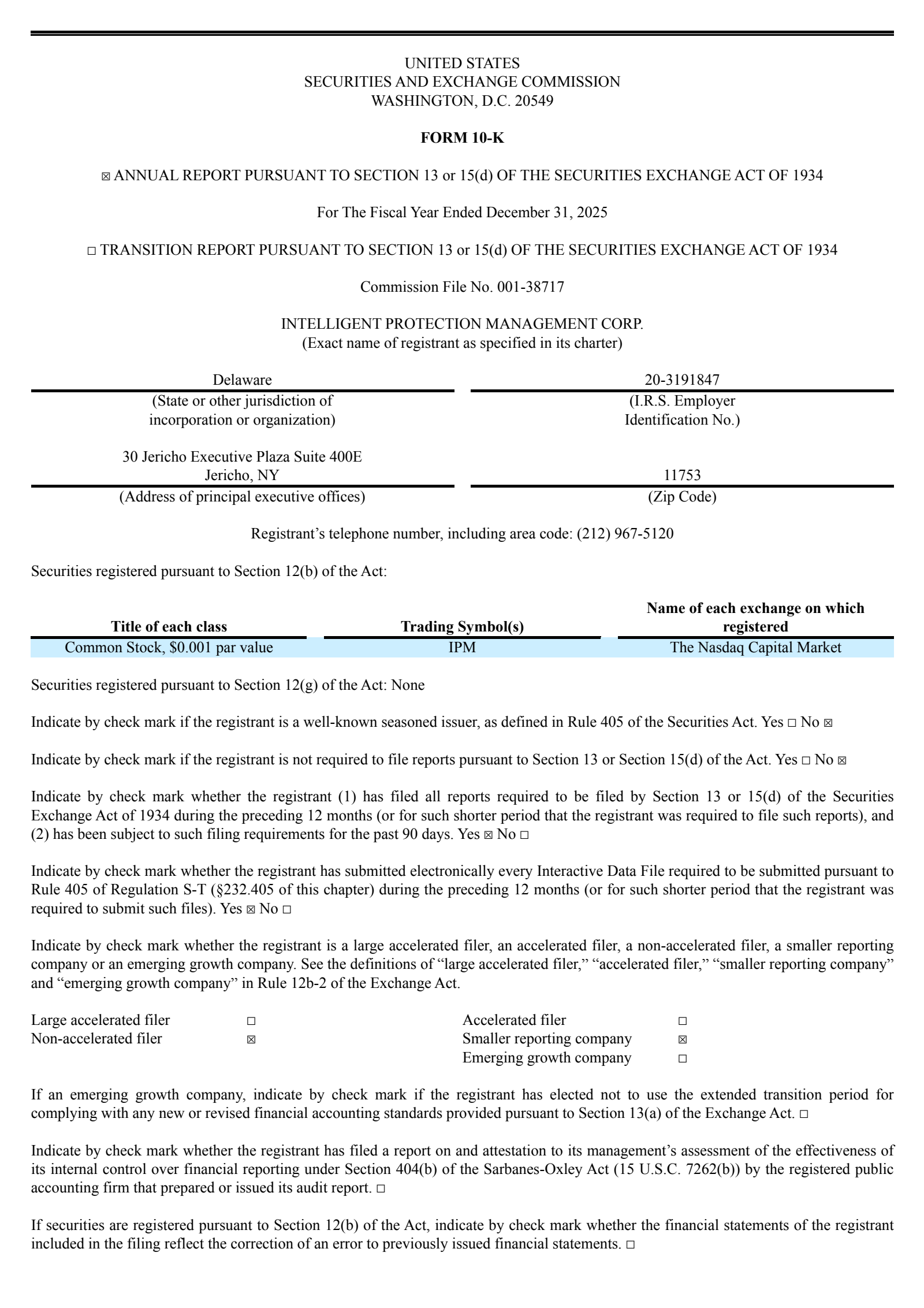 Intelligent Protection Management's Q4 2025 Annual report