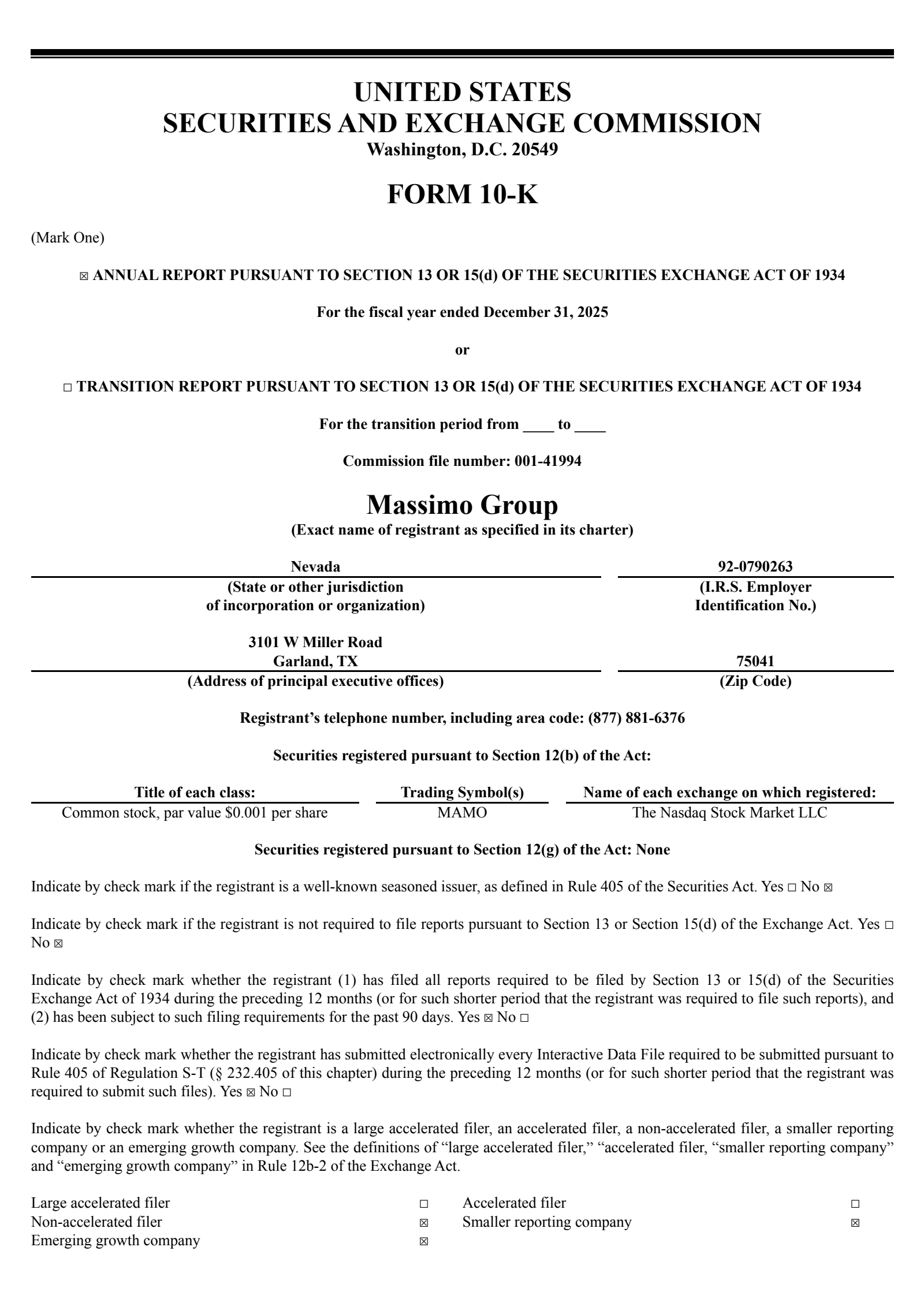 Massimo Group's Q4 2025 Annual report
