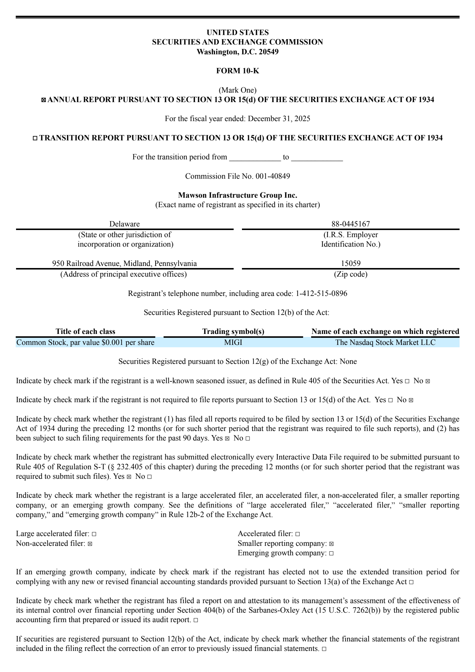Big Digital Energy, Inc. Common Stock's Q4 2025 Annual report