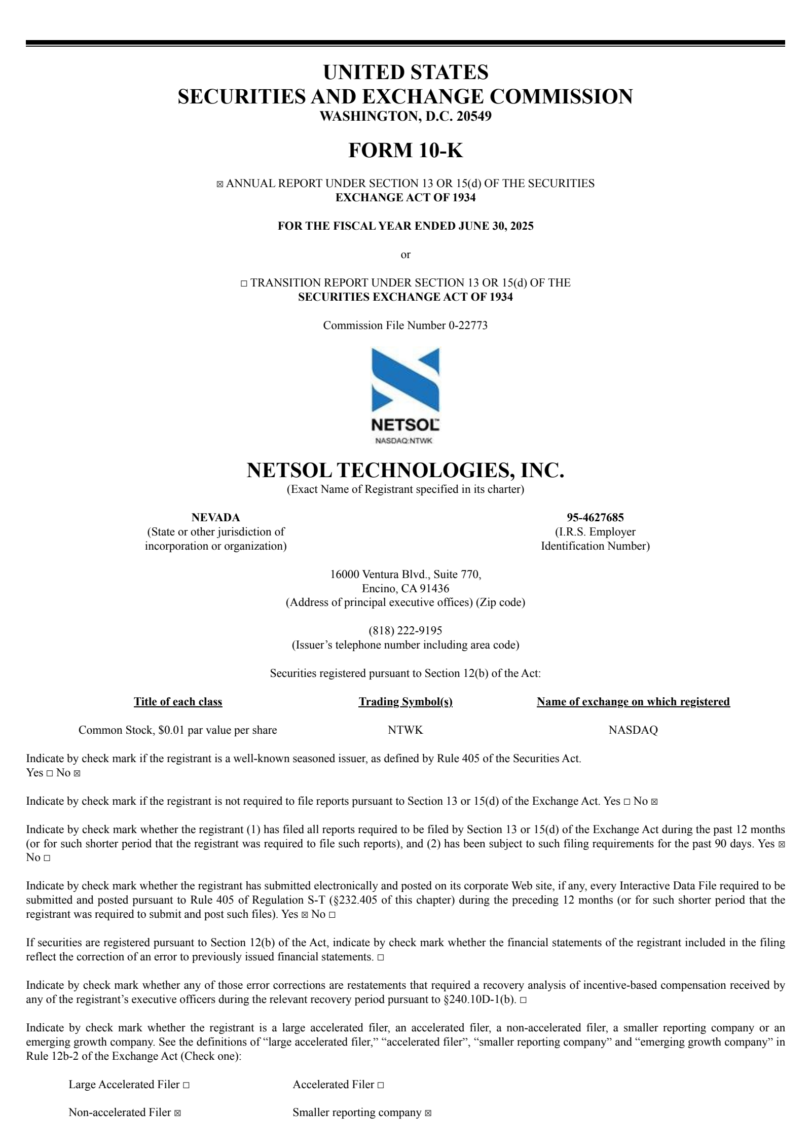 NetSol Technologies' Q4 2025 Annual Report