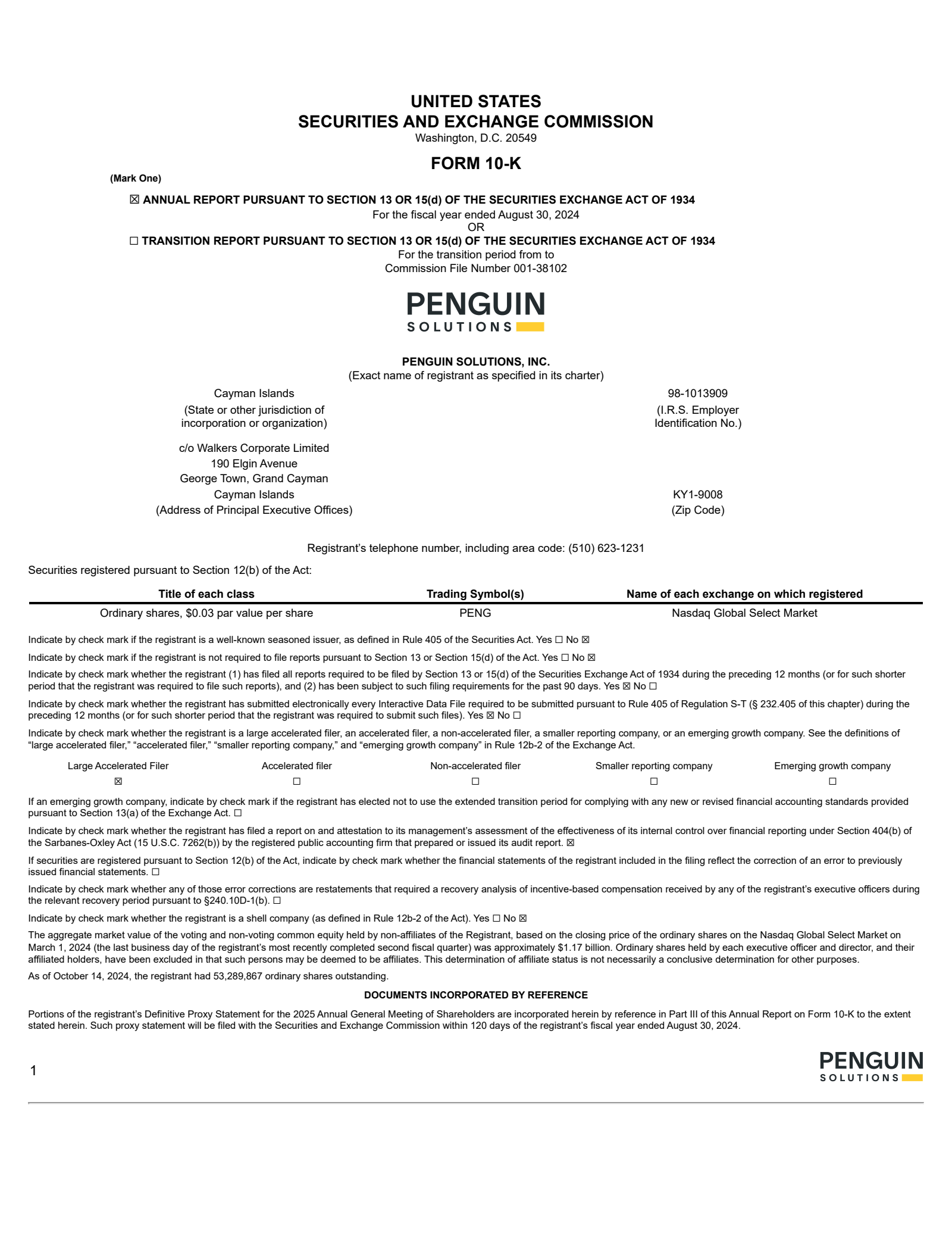 Penguin Solutions' Q4 2024 Annual Report