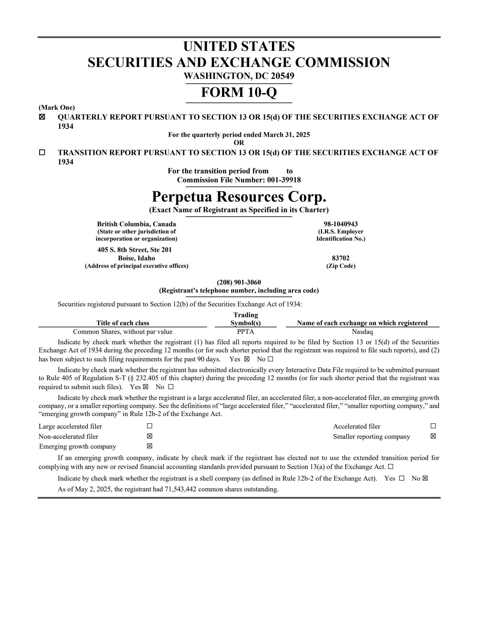 Perpetua Resources' Q1 2025 Quarterly Report