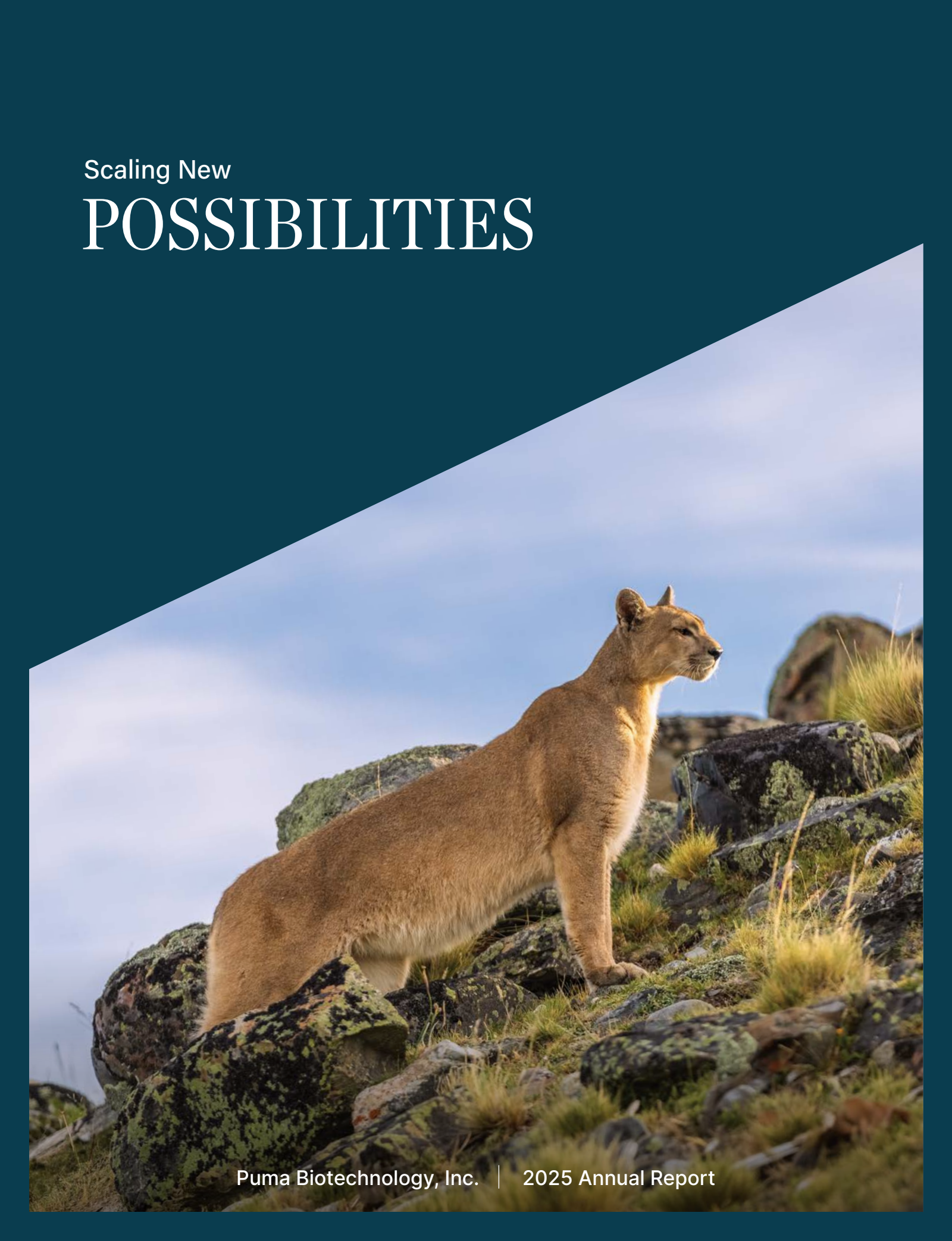 Puma Biotechnology's Q4 2025 Annual report