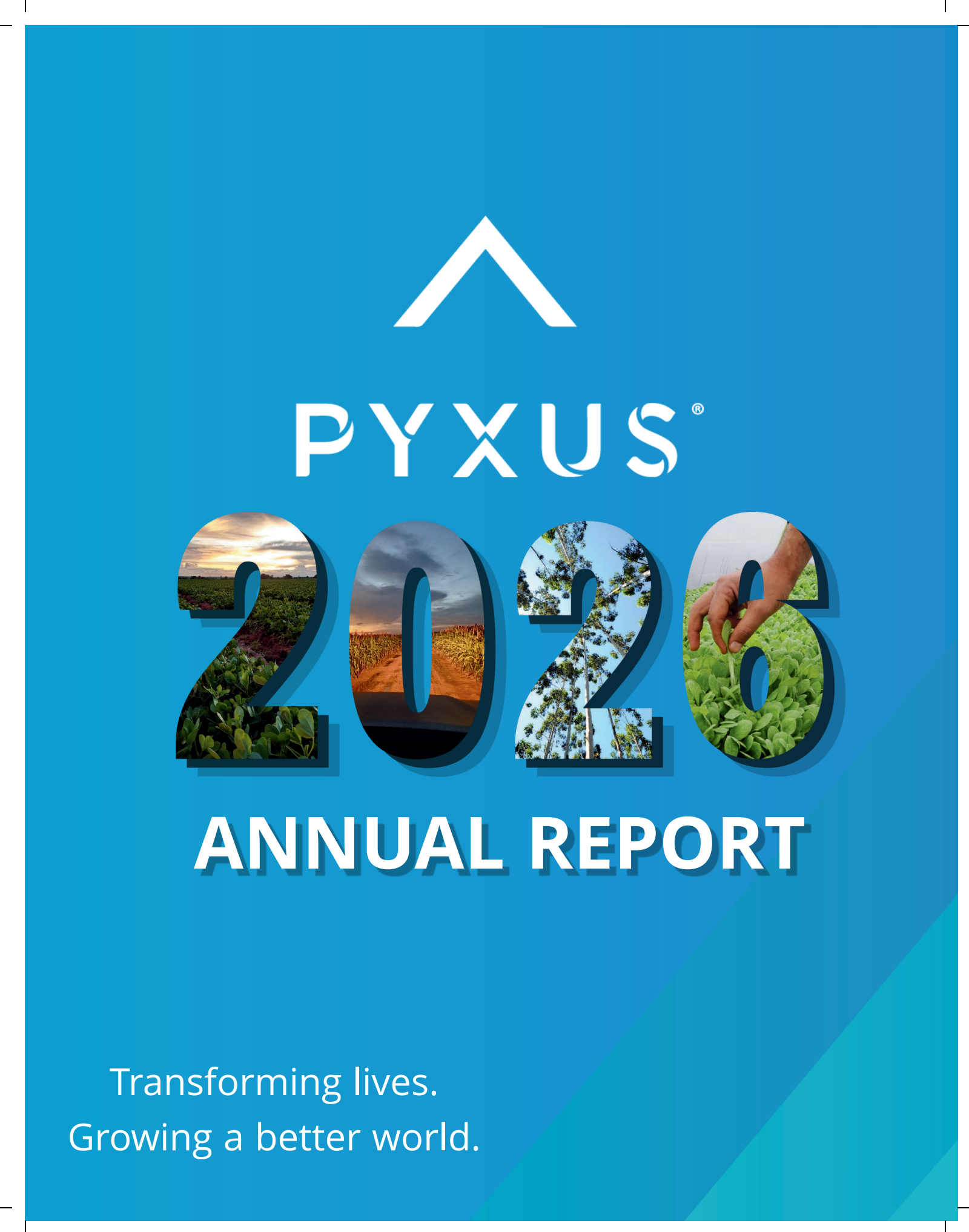 Pyxus International's Q4 2026 Annual report