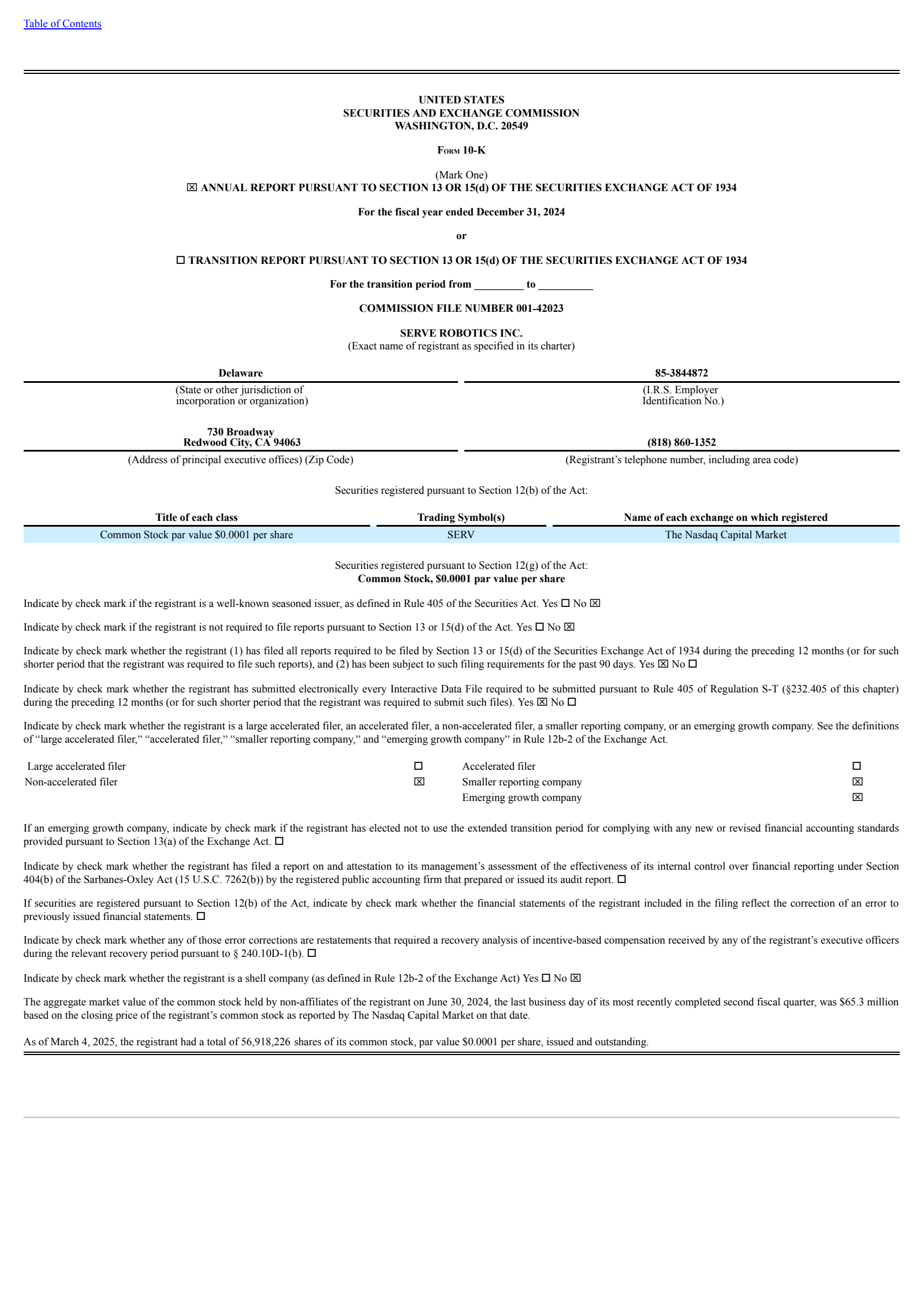Serve Robotics' Q4 2024 Annual Report