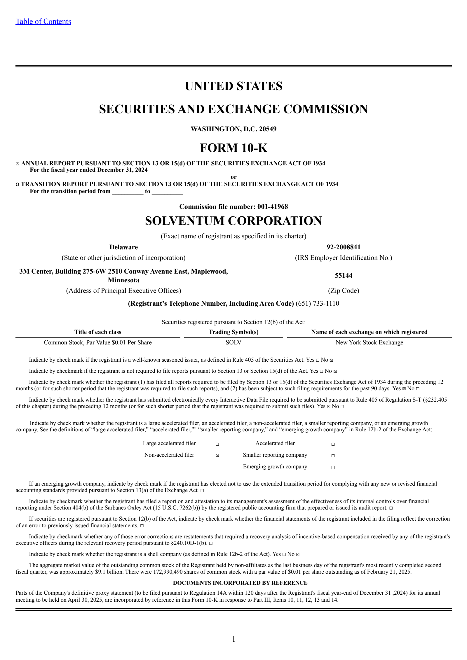Solventum's Q4 2024 Annual report