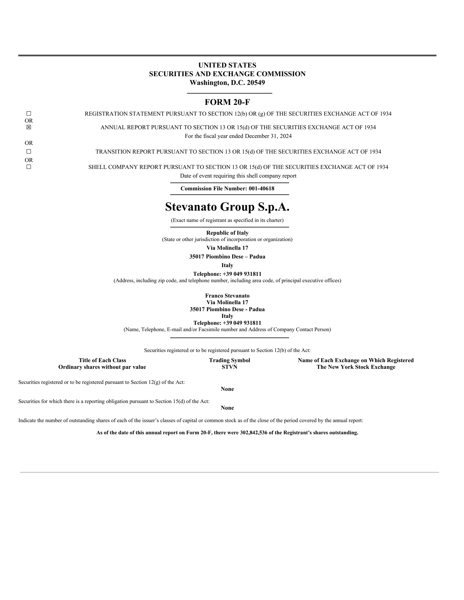 Stevanato Group's Q4 2024 Annual Report