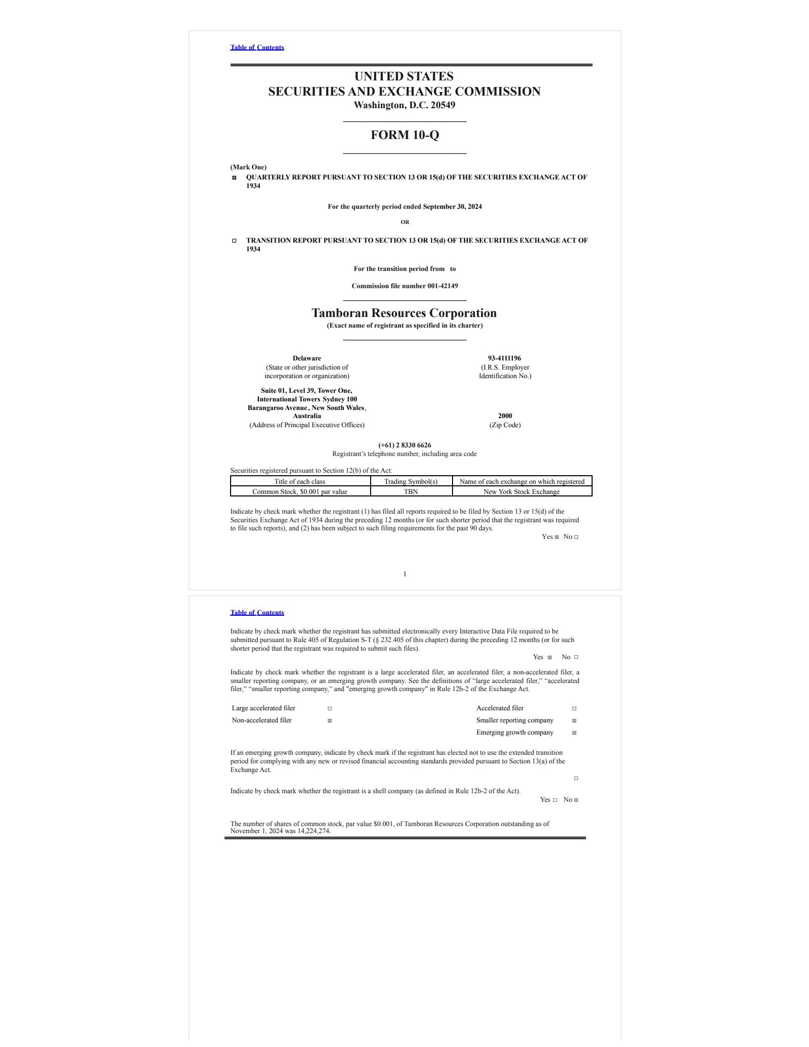 Tamboran Resources' Q1 2025 Quarterly report