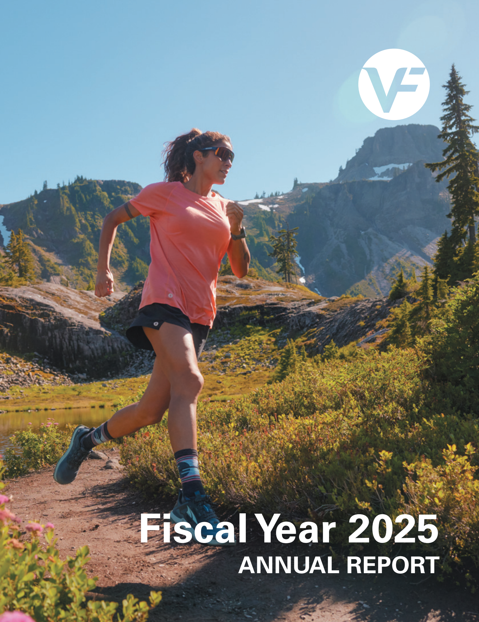 V.F.'s Q4 2025 Annual report
