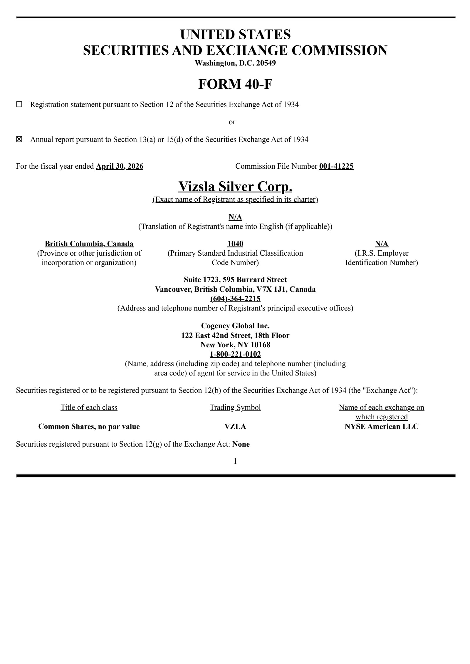 Vizsla Silver's Q4 2026 Annual report