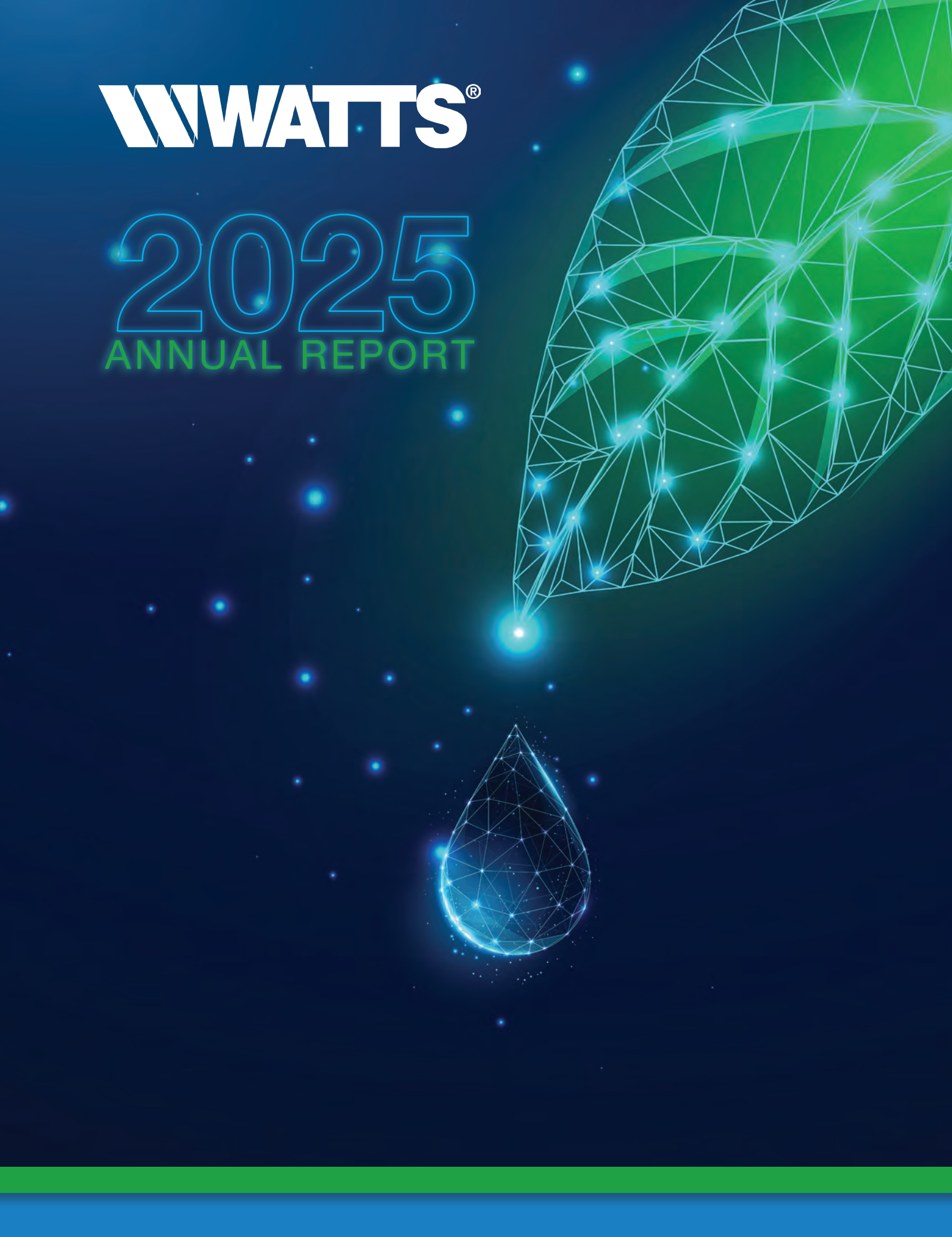 Watts Water Technologies' Q4 2025 Annual report