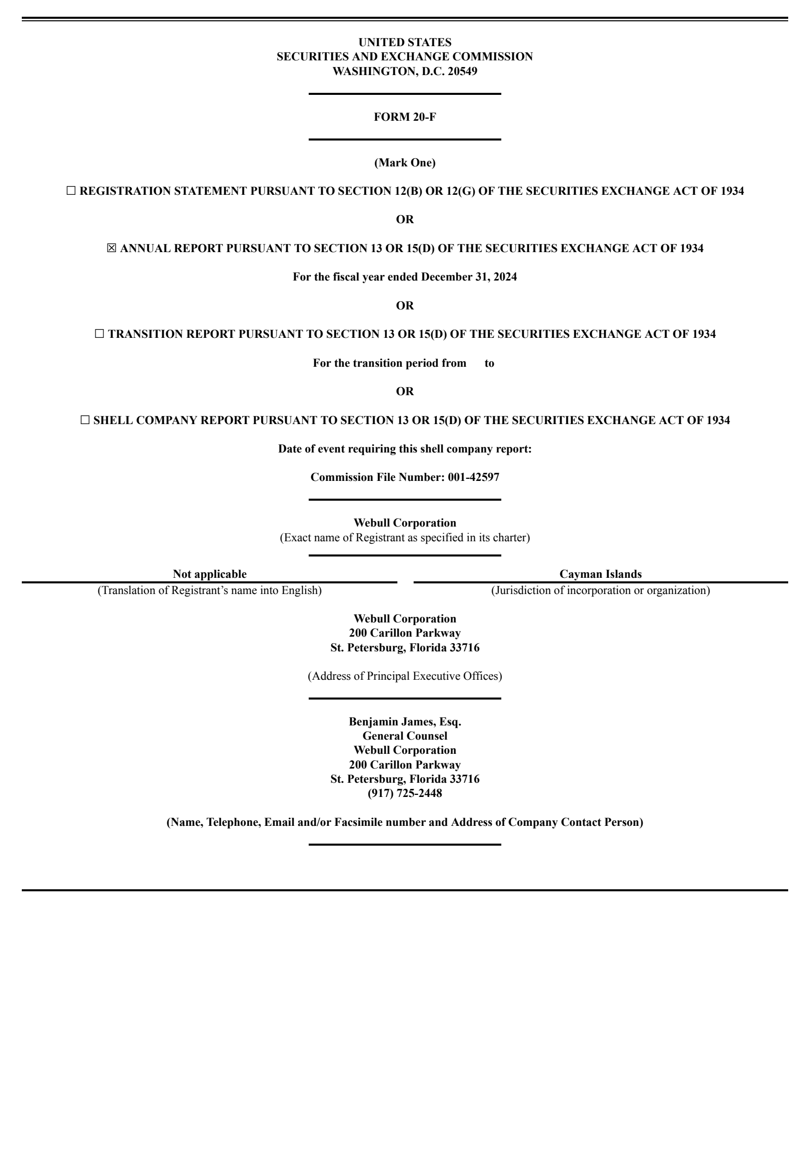 Webull's Q4 2024 Annual Report