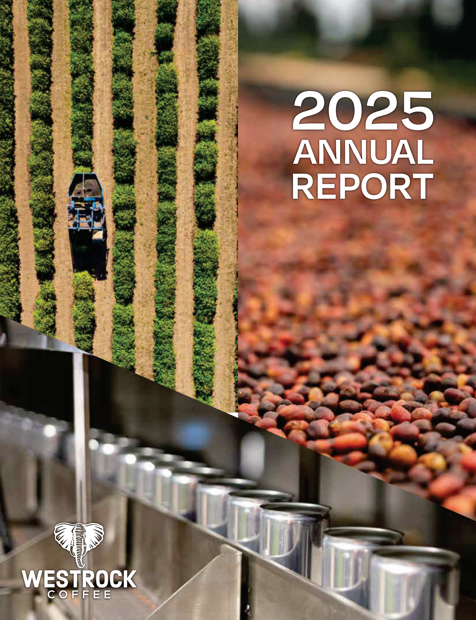 Westrock Coffee's Q4 2025 Annual report